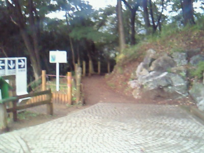七沢森林公園の中の道